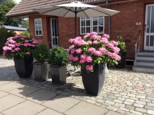 Hannas B&B - 51 m2 - Sønder Omme