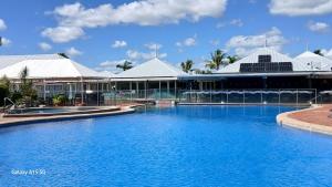 Lousha Bach Dolphin Heads