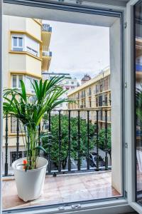 Magdalena - Apartment, pax-10