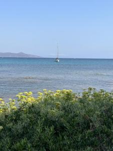 arena's casa vacanze img27