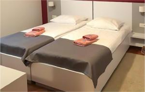 3 Bedroom Cozy Apartment In Medulin