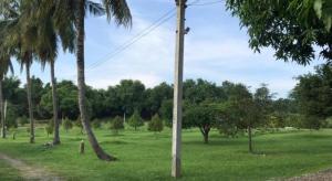 OYO 75380 Bannoichynum Resort Kanchanaburi