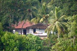 Cinnamon lodge rooms