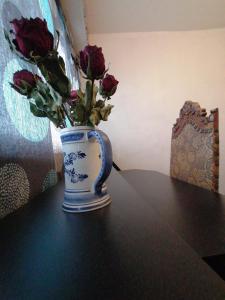 X1 Chambre appartement T3 cohabitation partie commune et salon