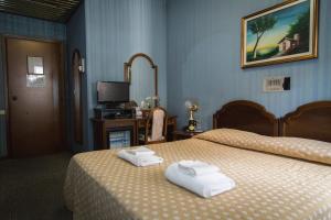 Double Room room in Hotel Accursio