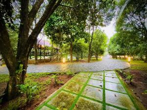 Lush Orchard