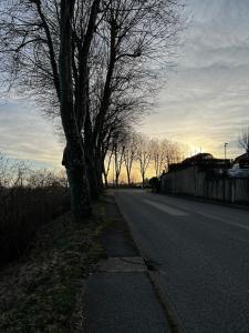 Les appartements du lac