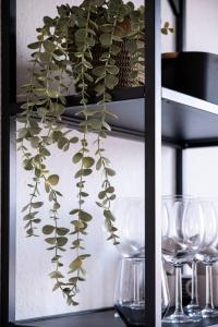 Top modernes Apartment am Zoo