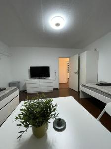 3 Wohnungen in einem Haus, ideal bis 14 Personen