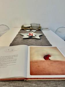 Bright frescoed attic in the city center, Brescia