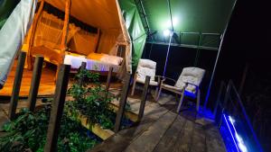 Glamping in the sky and tree house