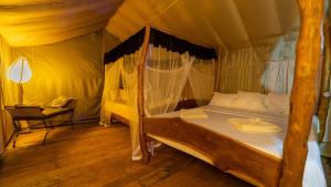 Glamping in the sky and tree house