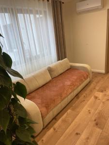 Cozy apartment in Irrel