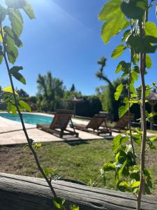 Monoambiente Cabañas ÁlamoBlanco San Rafael