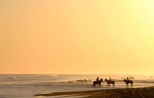 Pet Friendly Home In Sarbinowo With Wifi