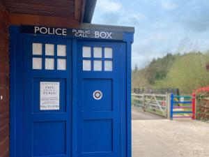 Pine Lodge - Uk46279