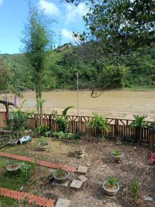 Homestay & Coffee A vũ