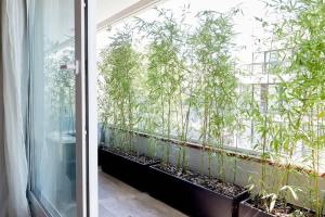 Departamento en Palermo Studio Calm