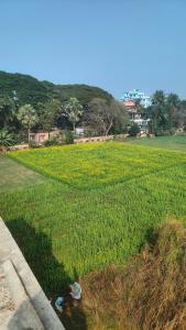 Laxmi Narasimha Hotel
