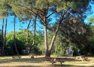 Camping Les Fougères - Maeva