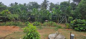 Nirmalas farmhouse - Cabin