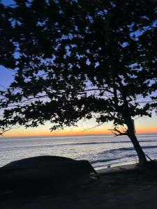 Lanta natural hut garden