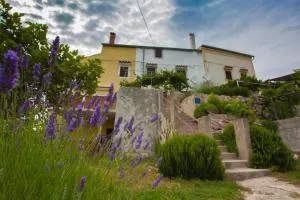 Apartment Vidovići - 马丁斯契卡