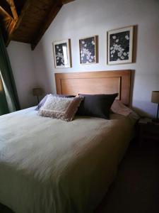 Palenque IV Duplex