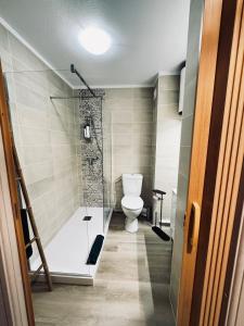 Cozy studio city center