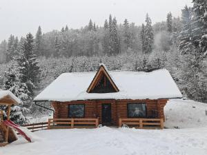 Wild tree house