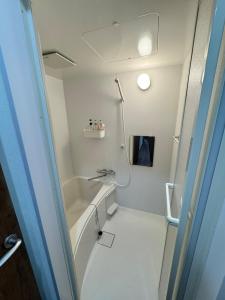 Akihabara, Skytree, Disney, Asakusa Temple, Traditional Japanese Ryokan, Airport Pick-up and Drop-off