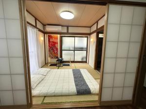 Akihabara, Skytree, Disney, Asakusa Temple, Traditional Japanese Ryokan, Airport Pick-up and Drop-off
