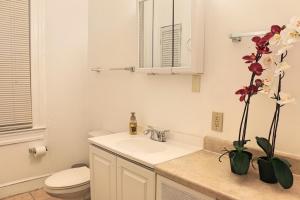 Your Sweet Studio Away From Home @ Charles Village