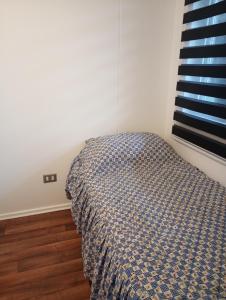 Departamento central Villarrica