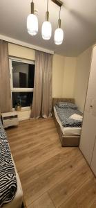 FENIX Apartment - Apartament Kryształowy, Parking, Targi, Faktura VAT,