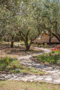 Odyssey Eco Farm Glamping