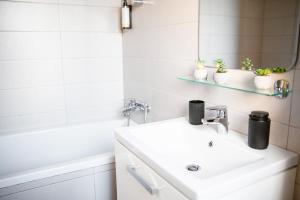 Royal Agoston Palace - Piata Libertatii - Cathedral - Old Tow