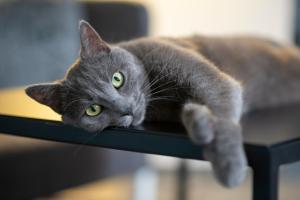 Das Sonnreich - Thermenhotel Loipersdorf