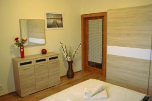 Spacious Prague View Apartment