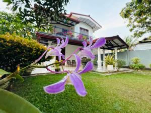 Fourcoock Villa