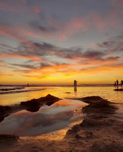 Jacaranda Playa Conil