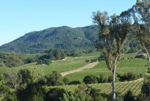 Casa Molino - A private escape with Vineyard views
