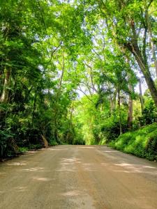 Villa Bamboo - Secretário