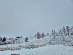 Casa din livadă - Cazare Măgheruș