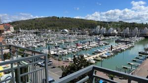 VILLA CATHY DUPLEX PLEIN SUD VUE PORT avec PISCINE INTERIEURE CHAUFFÉE