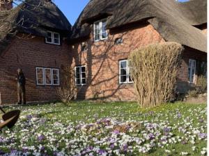 The Lütte Comfortable holiday residence