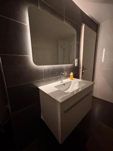 Le Familial Dijonnais - Musée Archéologique