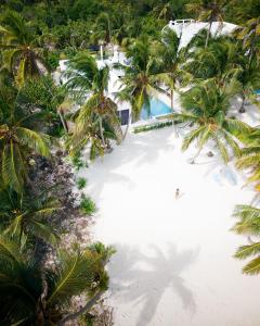 Casa Aura Maria Luxury Beachfront Villa w Pool