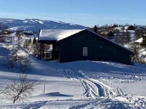 Flott hytte på Smølåsen Tjørhom