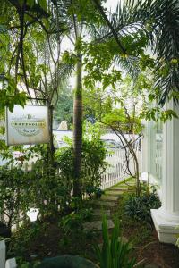 Daffodils Spice Court